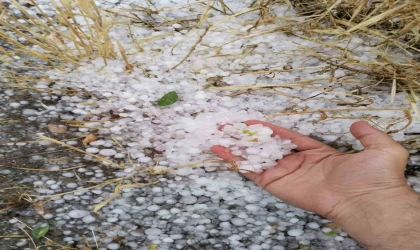 Erzincan’ın Tercan ilçesinde dolu etkili oldu