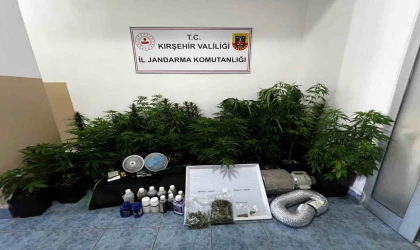 Evinde özel düzenekle kenevir yetiştiren kişi yakalandı