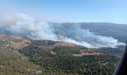 Hatay’da orman yangını