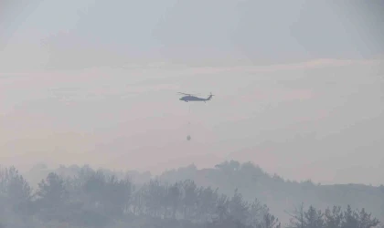 Hatay’daki orman yangını 4 saatlik müdahaleyle kontrol altına alındı