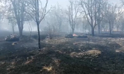 Isparta’da meyve bahçesinde çıkan yangında ağaçlar ve samanlar kül oldu