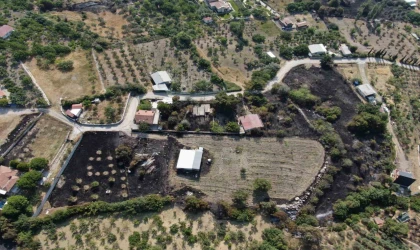 İzmir’deki orman yangının boyutu gün ağarınca ortaya çıktı