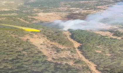 İzmir’deki orman yangınına havadan ve karadan müdahale sürüyor