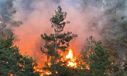 Kahramanmaraş’taki orman yangınına müdahale sürüyor