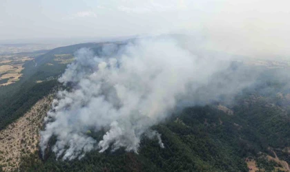 Kastamonu’daki orman yangını sürüyor: Havadan görüntülendi