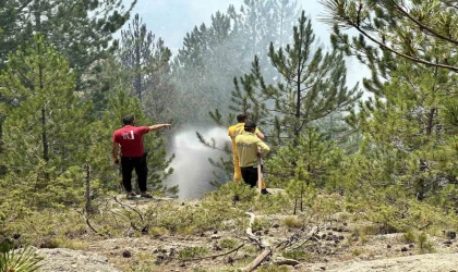 Kastamonu’daki orman yangınları kontrol altına alındı