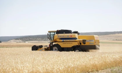 Kütahya’da yerli arpa çeşidi ’Ayrancı’nın hasadı yapıldı