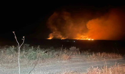 Lice’de gece başlayan orman yangını söndürüldü