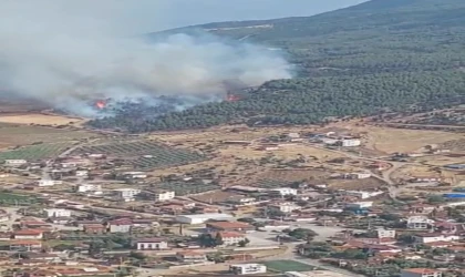 Manisa’da orman yangını