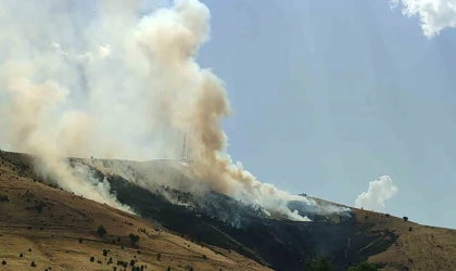 Muş’ta çıkan örtü yangını kontrol altına alındı