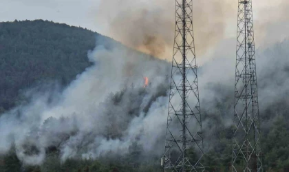 Orman yangınını söndürme çalışmaları karadan sürüyor