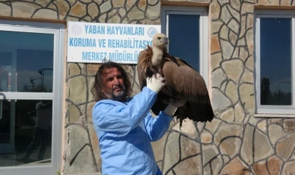 Prof. Dr. Aslan: “Çok sayıda zoonoz hastalık yaban hayvanlarından insana bulaşmaktadır”