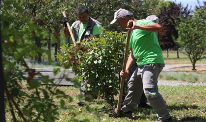 Sakarya Büyükşehir Belediyesi’nden şehre estetik dokunuş