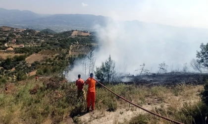 Sakarya’da geçtiğimiz yıla göre orman yangınlarında 2 buçuk kat artış yaşandı: Jandarma uyardı