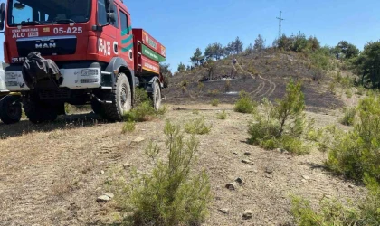 Samsun’da örtü yangını