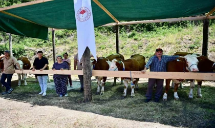 Sinop’ta 265 köylüye 40 milyon TL ferdi kredi desteği