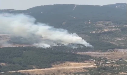 Soma’da orman yangını