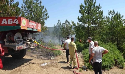 Tavşanlı’da orman yangını