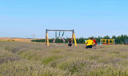 Tekirdağ 4’üncü Lavanta Günleri başlıyor