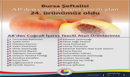 TOBB Başkanı Hisarcıklıoğlu: ”Avrupa Birliği’nden coğrafi işaret tescili alan 24. ürünümüz Bursa şeftalisi oldu”