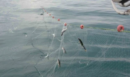 Van Gölü’nde balıkçılar ağlarını suya bıraktı