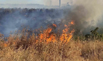 Ziraat odasından çiftçilere ’anız yangını’ uyarısı