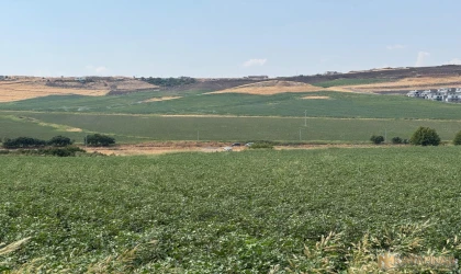 Ölü bulunan Narin olayında 21 kişi gözaltına alındı