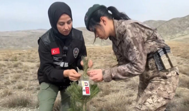 Kadın polisler, şehit kadın polislerin anısına fidan diktiler